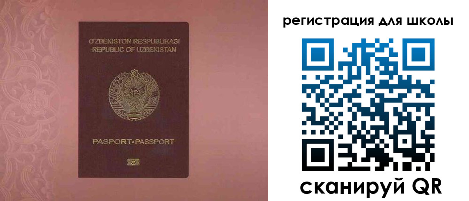 прописка для школы в Волгоградской области