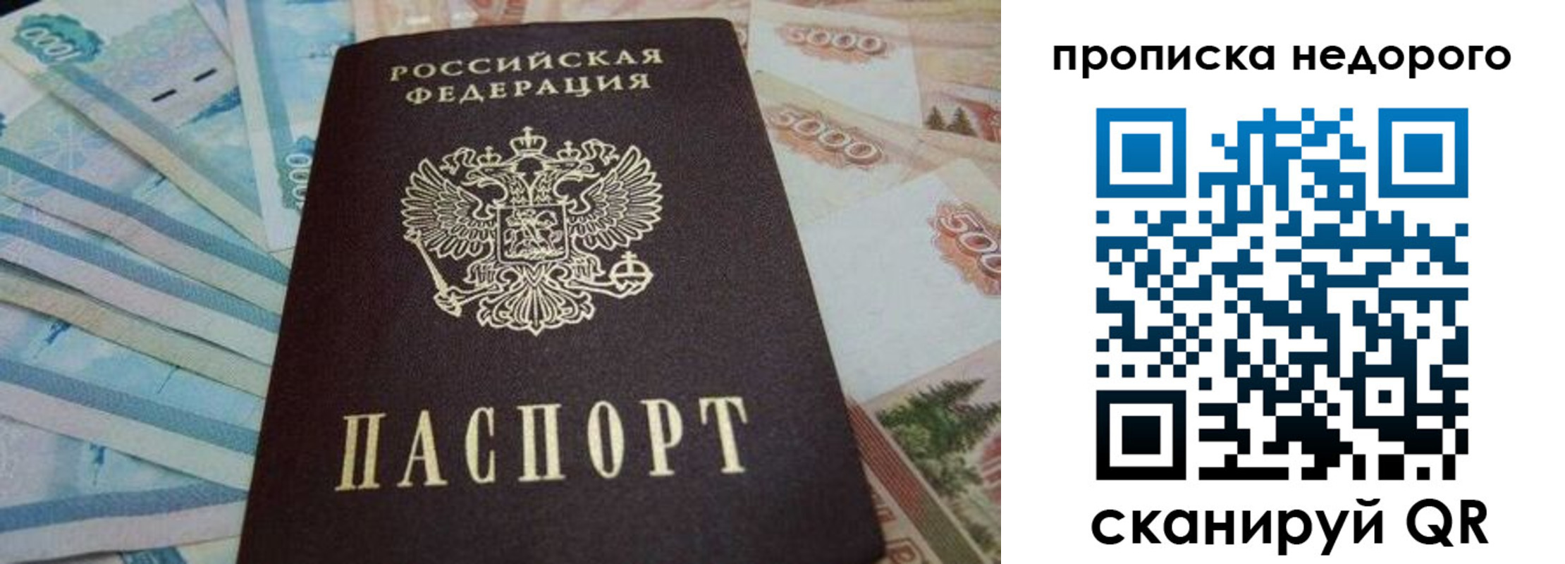 временная регистрация поиск в Волгоградской области