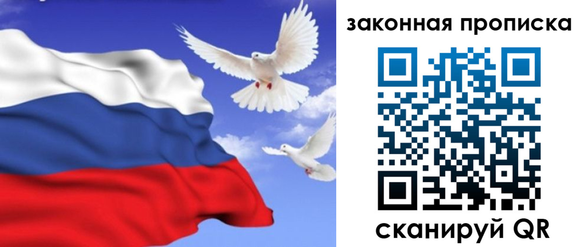 регистрация в Волгоградской области